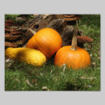 Cosecha 10 x del otoño impresión fotográfica 8 fotografía
