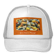 Cosecha 5 de la acción de gracias de Halloween Gorra