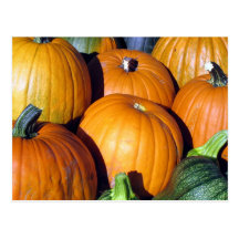 Cosecha de la calabaza postales