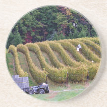 Cosecha de las uvas posavasos diseño