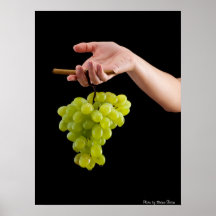 Cosecha de las uvas posters