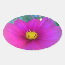Cosmo rosado brillante pegatinas ovales