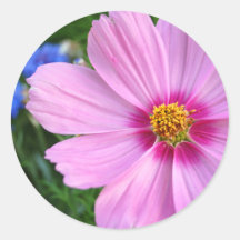 Cosmos, pegatinas