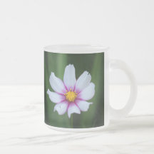 Cosmos, taza