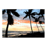 Costa costa tropical intrépida de la palmera posters