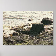 Costa de la sepia posters
