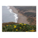 Costa del nacional de Reyes del punto Tarjetas Postales