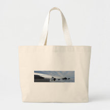 Costa del sur de Oregon Bolsas