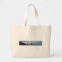Costa del sur de Oregon Bolsas