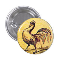 $cox para el presidente - botón pins