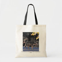 coyote, foto/diseño por Jeraisablue (www.zazzle…. Bolsa