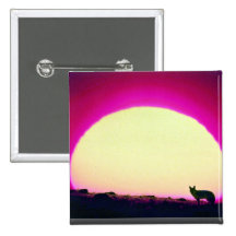 Coyote, sudoeste, efecto especial pin