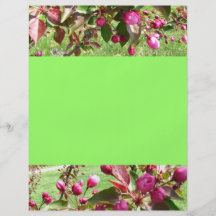 Crabapple florece aviador tarjeta publicitaria