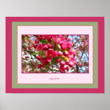Crabapple florece poster de 2 fotos cerca gretchen