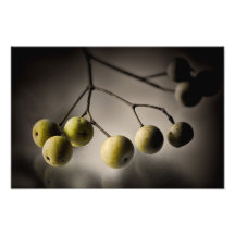 Crabapples de oro sobre el vidrio cojinete