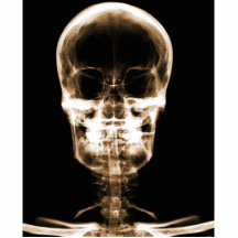 CRÁNEO ESQUELÉTICO DE VISION DE LA RADIOGRAFÍA - N ESCULTURAS FOTOGRÁFICAS