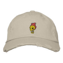 Cráneo llameante gorros bordados