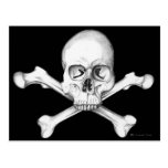 Cráneo y bandera pirata postal