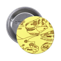 Cráneos del dinosaurio pins
