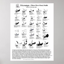 Cráneos del Triceratops Poster