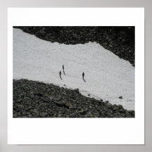 Cráter de la nieve impresiones