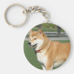 CREE SU PROPIA FOTO DEL MASCOTA LLAVERO