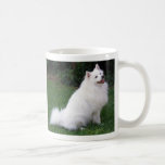 CREE SU PROPIA FOTO DEL MASCOTA TAZAS