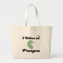 creo en Pangea Bolsa