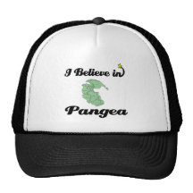 creo en Pangea Gorro De Camionero