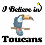 creo en toucans esculturas fotográficas