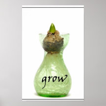 Crezca el poster