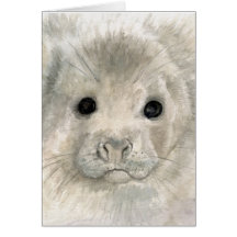 cría de foca tarjetón