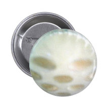 Criatura del bebé pins