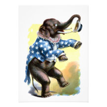 Criaturas curiosas - elefante comunicados personales 