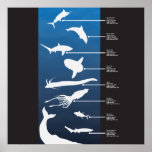 Criaturas del océano abierto posters