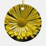crisantemo amarillo "especia" (florista Chrysanthe Ornaments Para Arbol De Navidad
