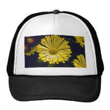 crisantemo amarillo "especia" (florista Chrysanthe Gorras De Camionero