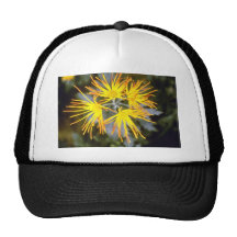 crisantemo amarillo "saga Koyo" (florista Chrysant Gorras