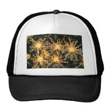 crisantemo amarillo "Scimitar" (florista Chrysanth Gorros