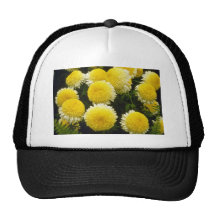 crisantemo amarillo "soplo de polvo" (florista Chr Gorras