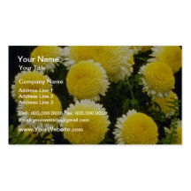 crisantemo amarillo "soplo de polvo" (florista Chr Tarjetas De Visita