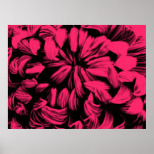Crisantemo rosado posters