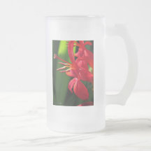 Crocosmia nombró Lucifer Tazas