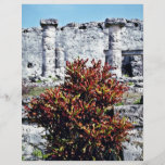 Croton rojo Bush en las ruinas mayas, Tulum Flyer Personalizado