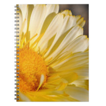 Cuaderno amarillo de la margarita
