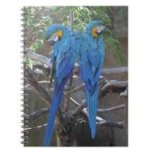Cuaderno con dos loros
