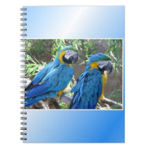 Cuaderno con dos loros