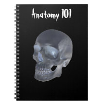Cuaderno de la anatomía o de la clase de Biología