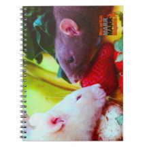 Cuaderno de la comida de la rata del arco iris