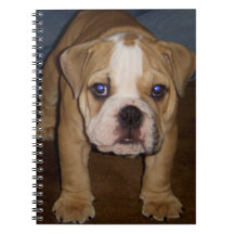 Cuaderno de la plantilla de la foto